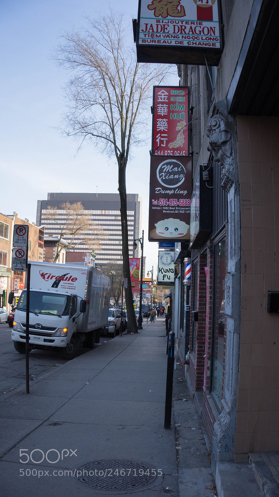 Sony Alpha a3500 sample photo. Montreal photography