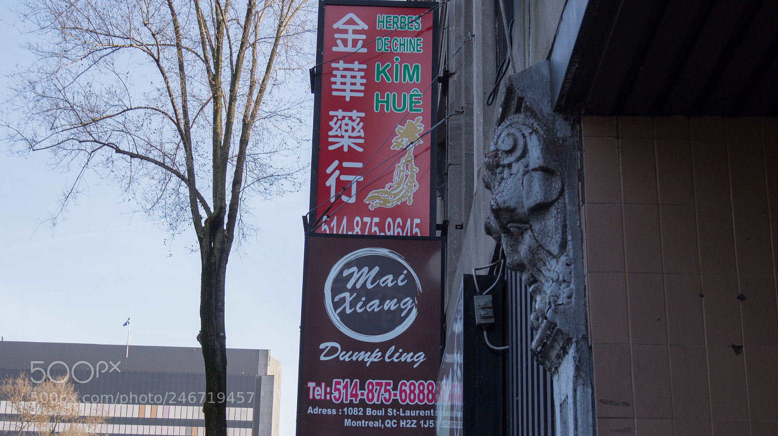 Sony Alpha a3500 sample photo. Montreal photography