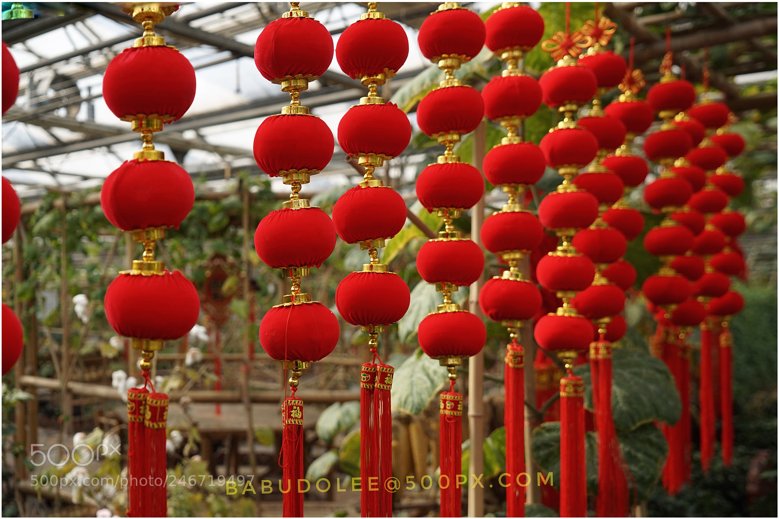 Sony a7 sample photo. Chinese new year photography