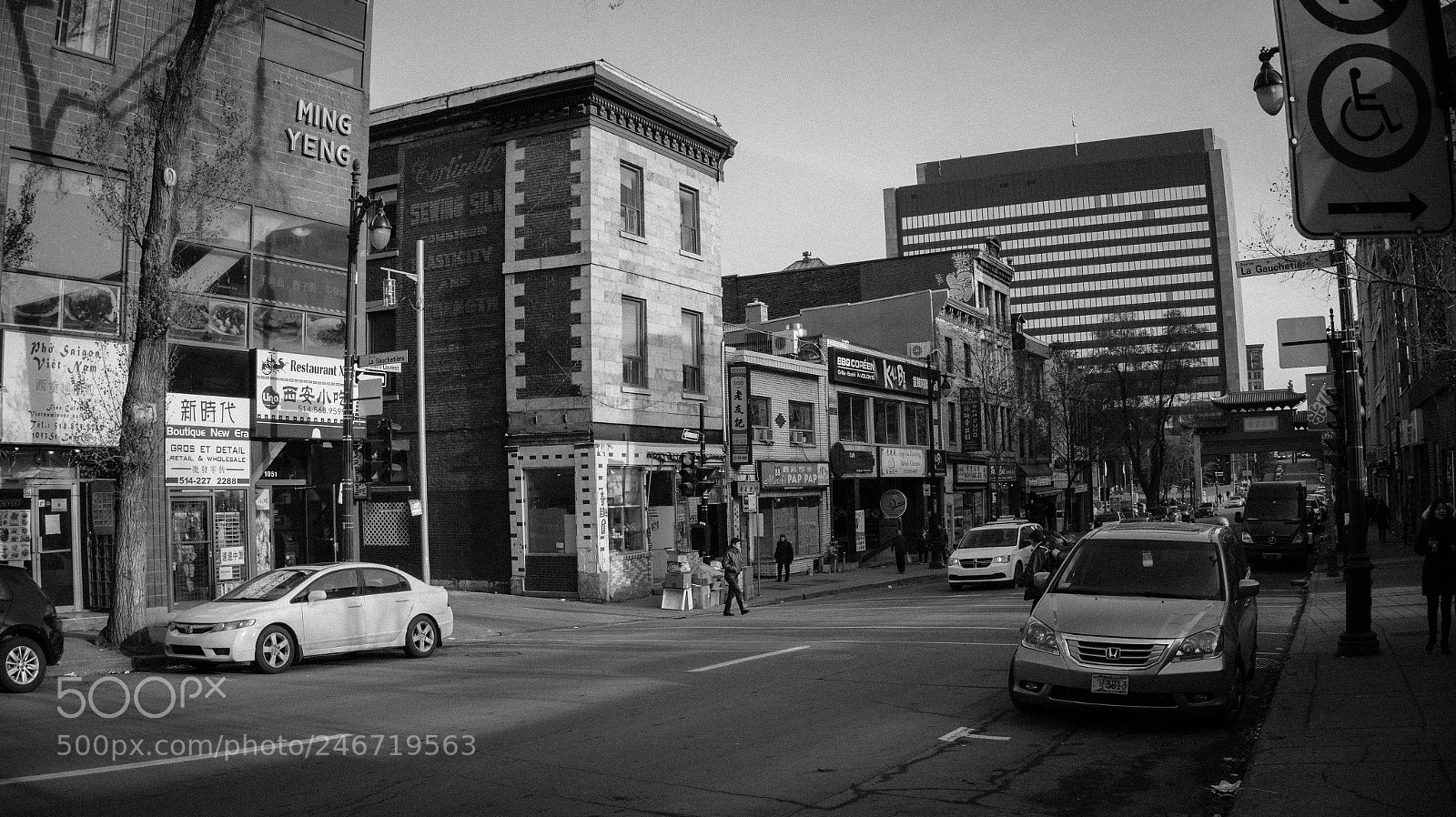 Sony Alpha a3500 sample photo. Montreal photography