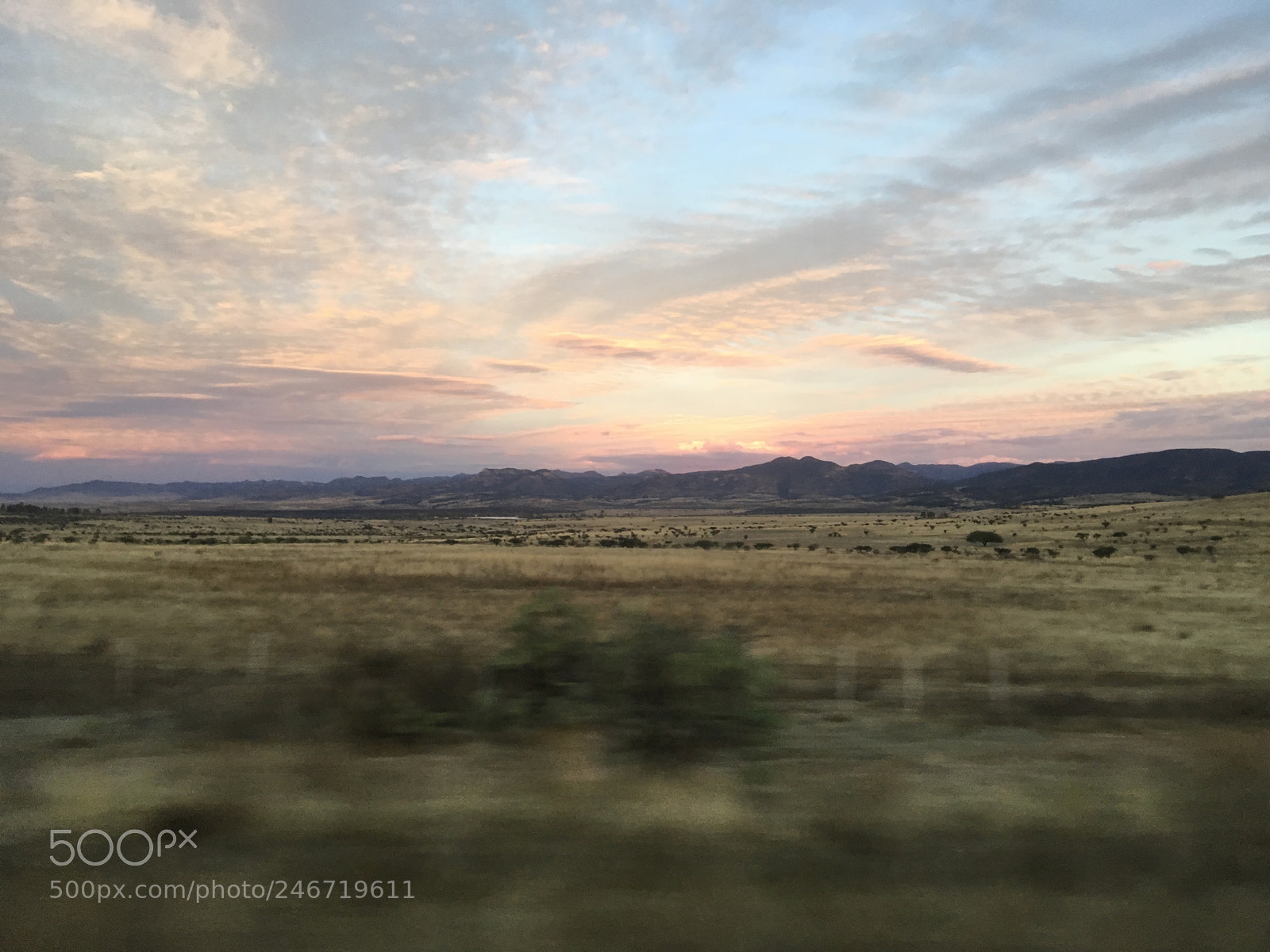 Apple iPad Pro sample photo. Untitled photography
