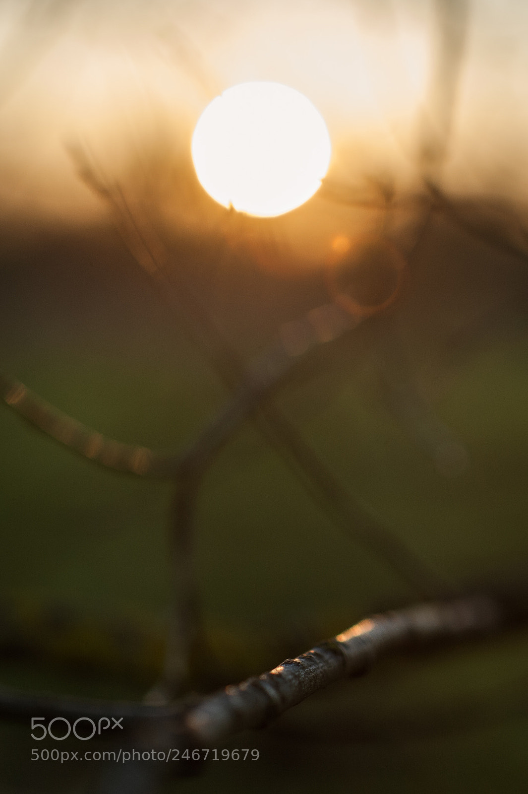 Nikon D700 sample photo. Sun o photography
