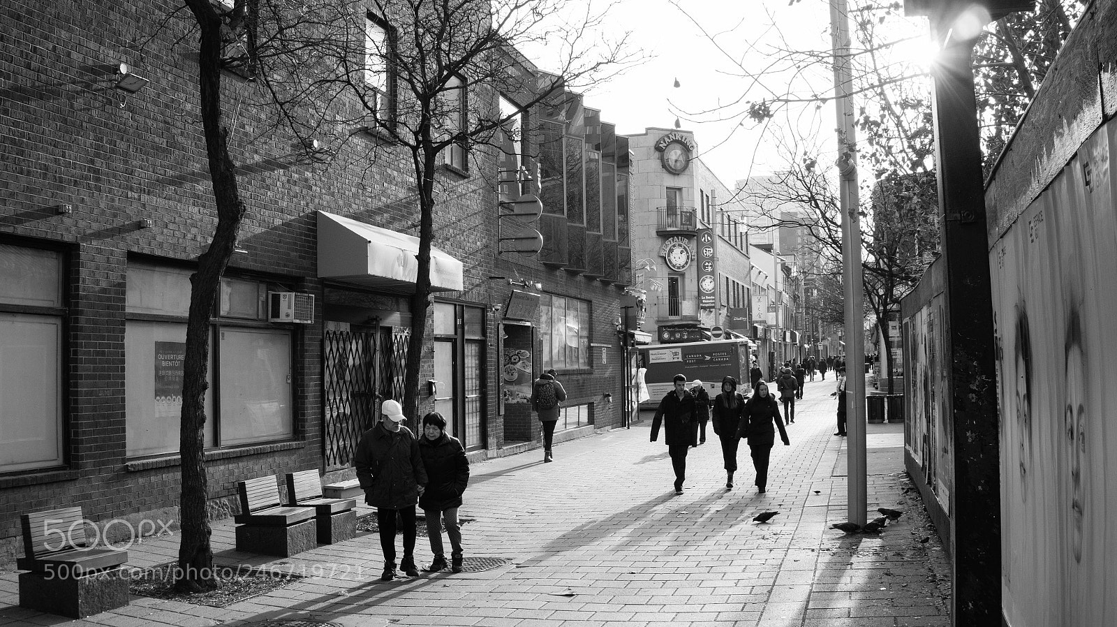 Sony Alpha a3500 sample photo. Montreal photography