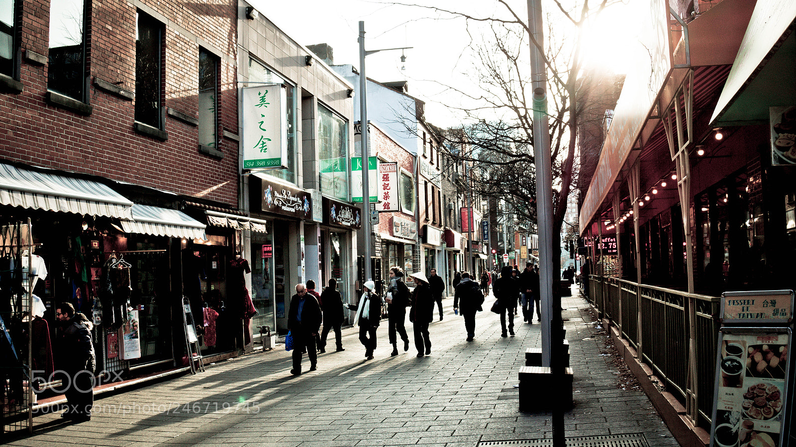 Sony Alpha a3500 sample photo. Montreal photography