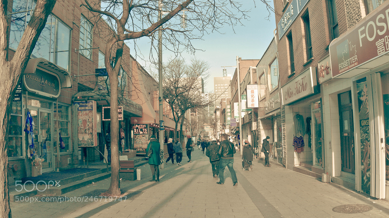 Sony Alpha a3500 sample photo. Montreal photography