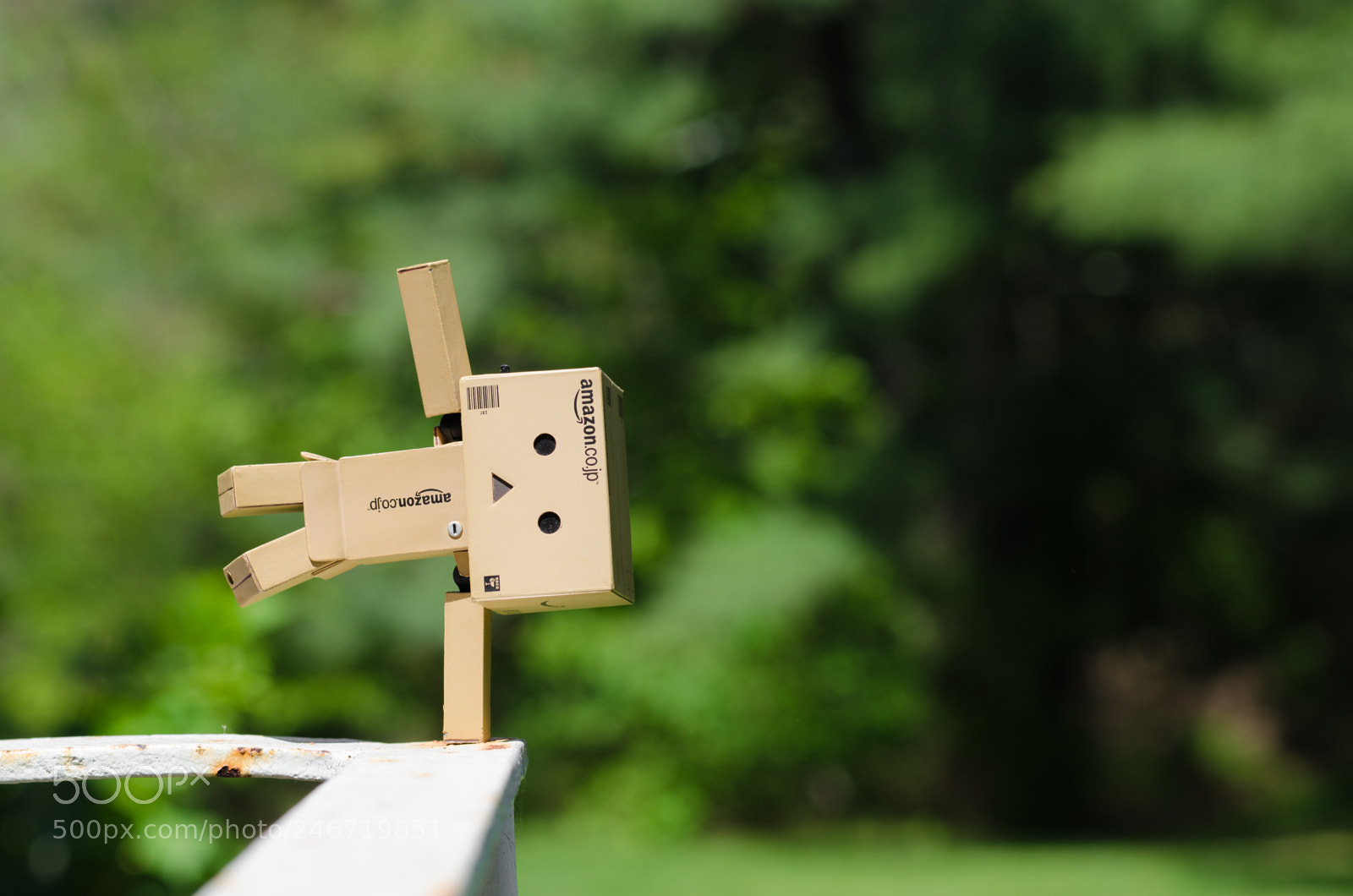 Nikon D5100 sample photo. Adventures of danbo photography