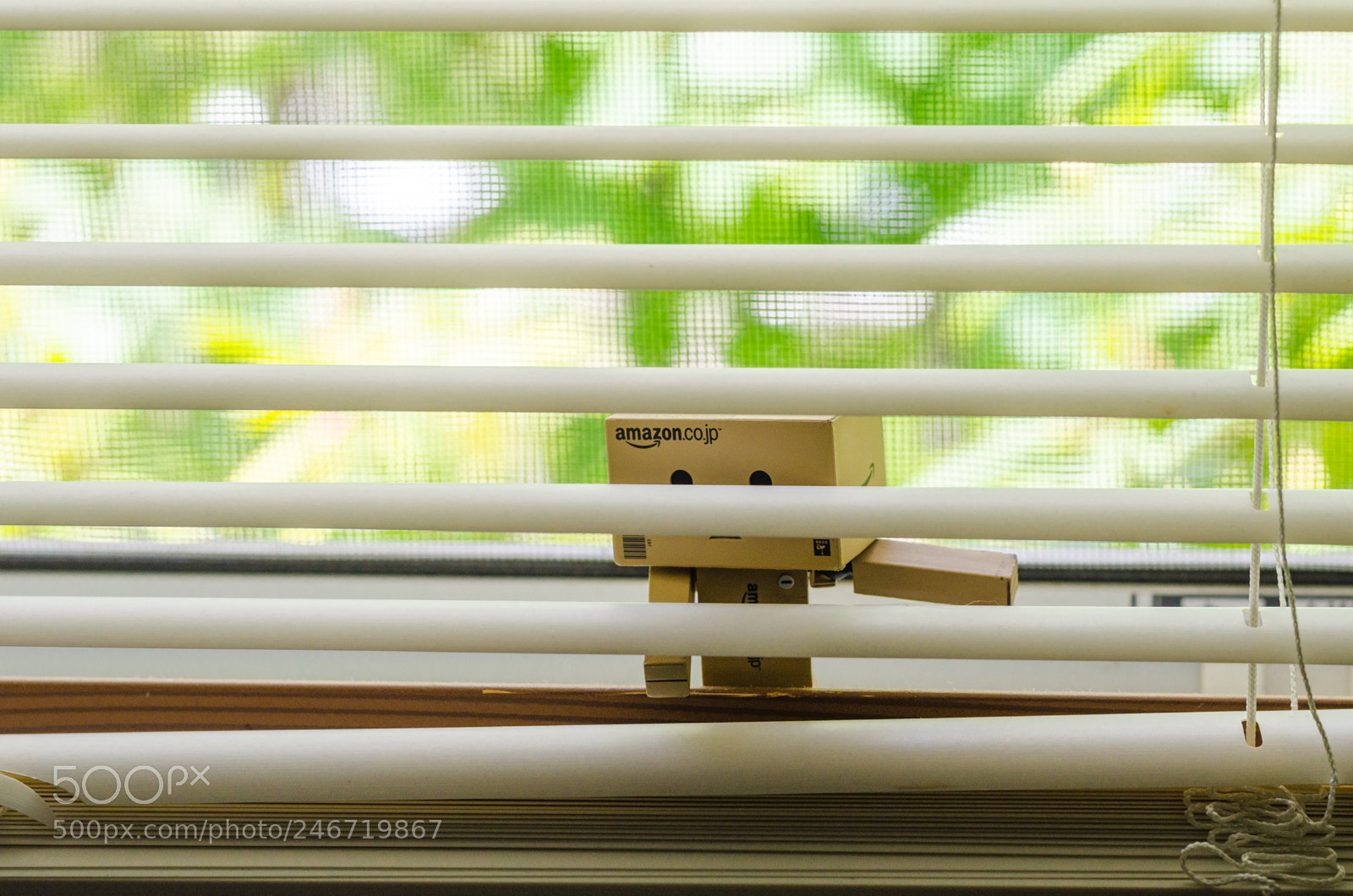 Nikon D5100 sample photo. Adventures of danbo photography