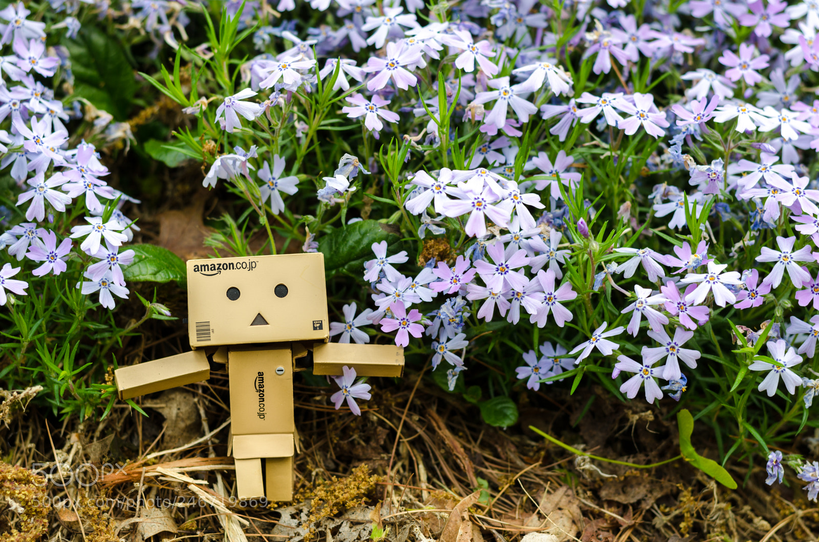Nikon D5100 sample photo. Adventures of danbo photography