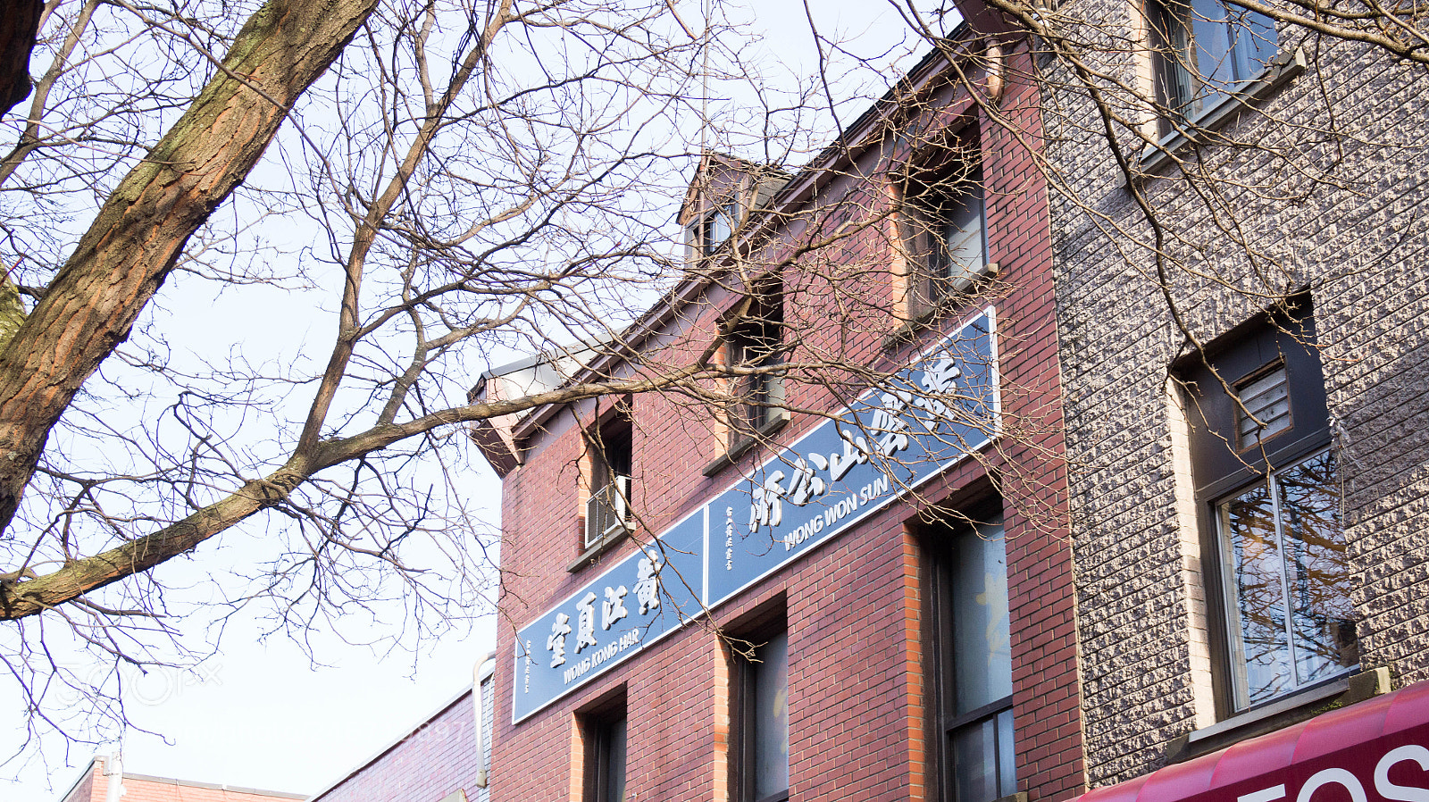 Sony Alpha a3500 sample photo. Montreal photography