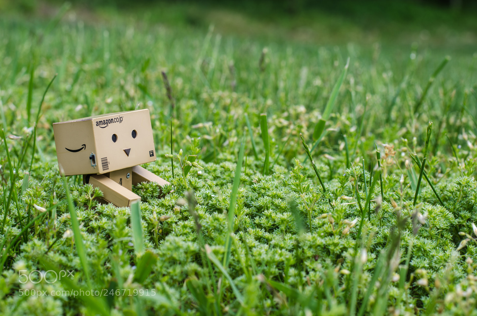 Nikon D5100 sample photo. Adventures of danbo photography
