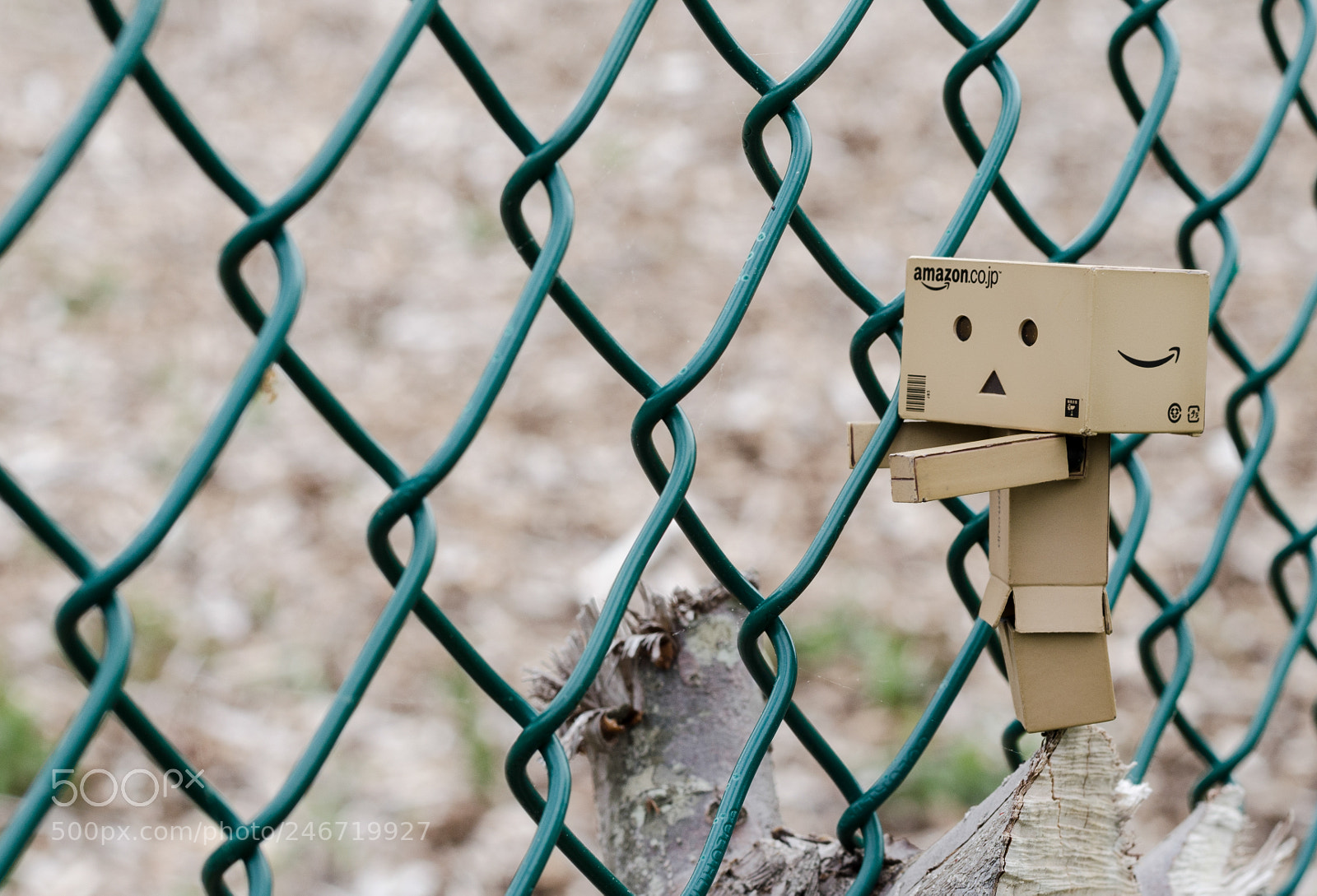 Nikon D5100 sample photo. Adventures of danbo photography