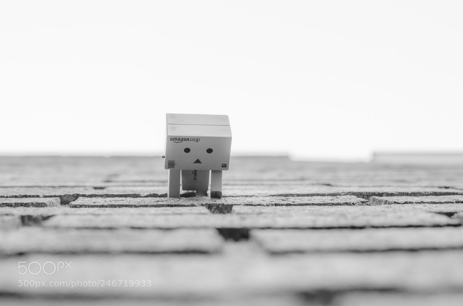 Nikon D5100 sample photo. Adventures of danbo photography