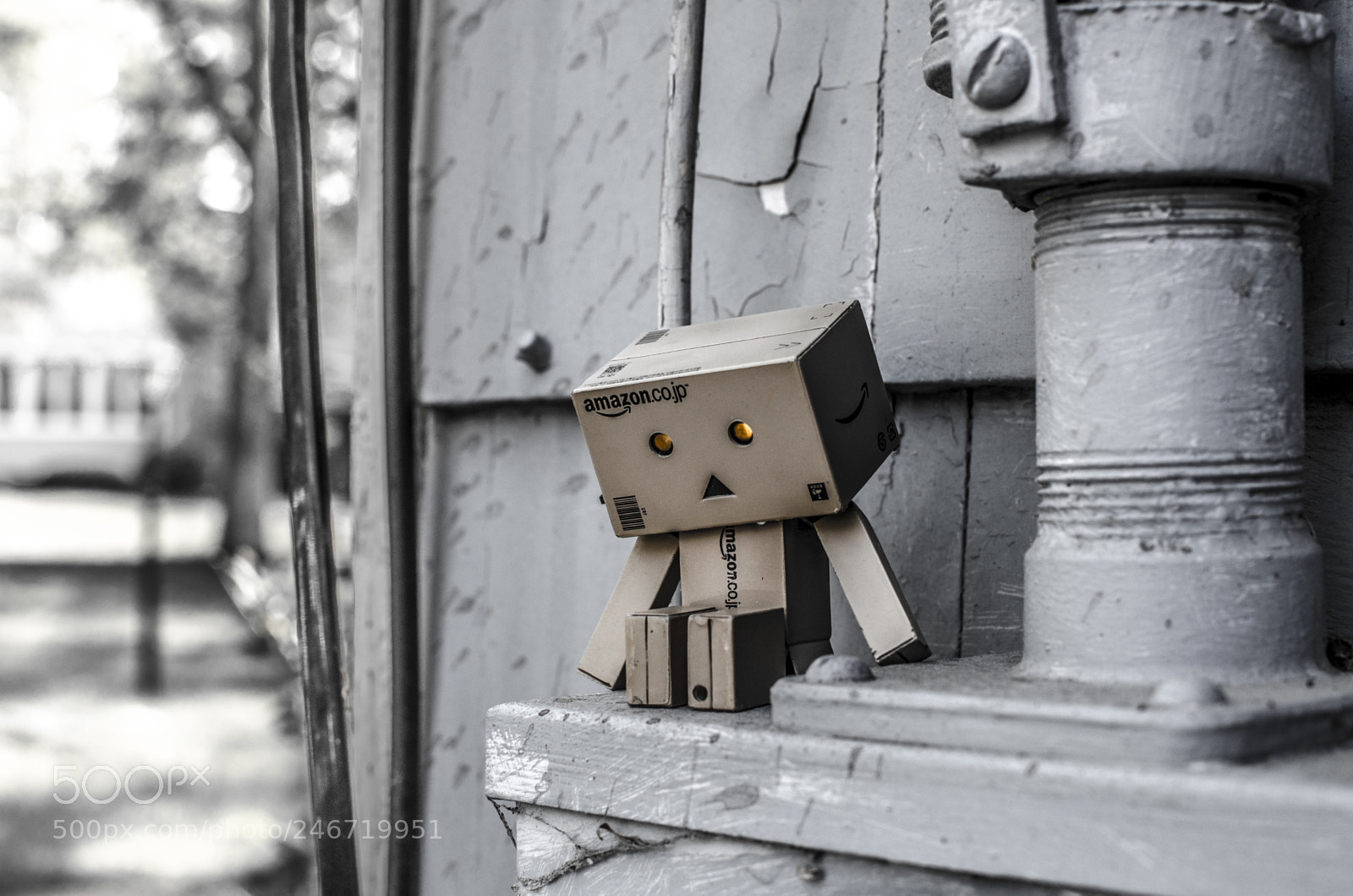Nikon D5100 sample photo. Adventures of danbo photography