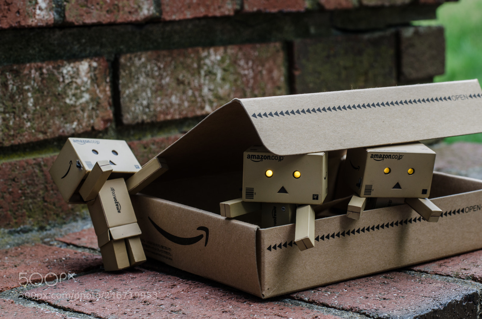 Nikon D5100 sample photo. Adventures of danbo photography