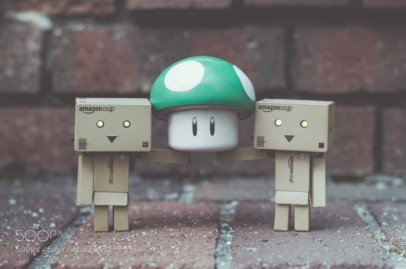 Nikon D5100 sample photo. Adventures of danbo photography