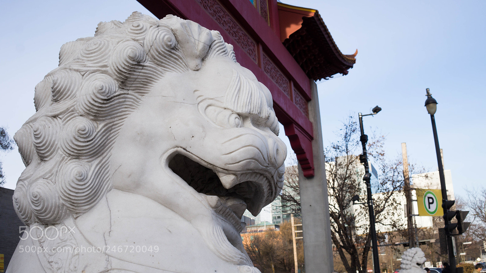 Sony Alpha a3500 sample photo. Montreal photography