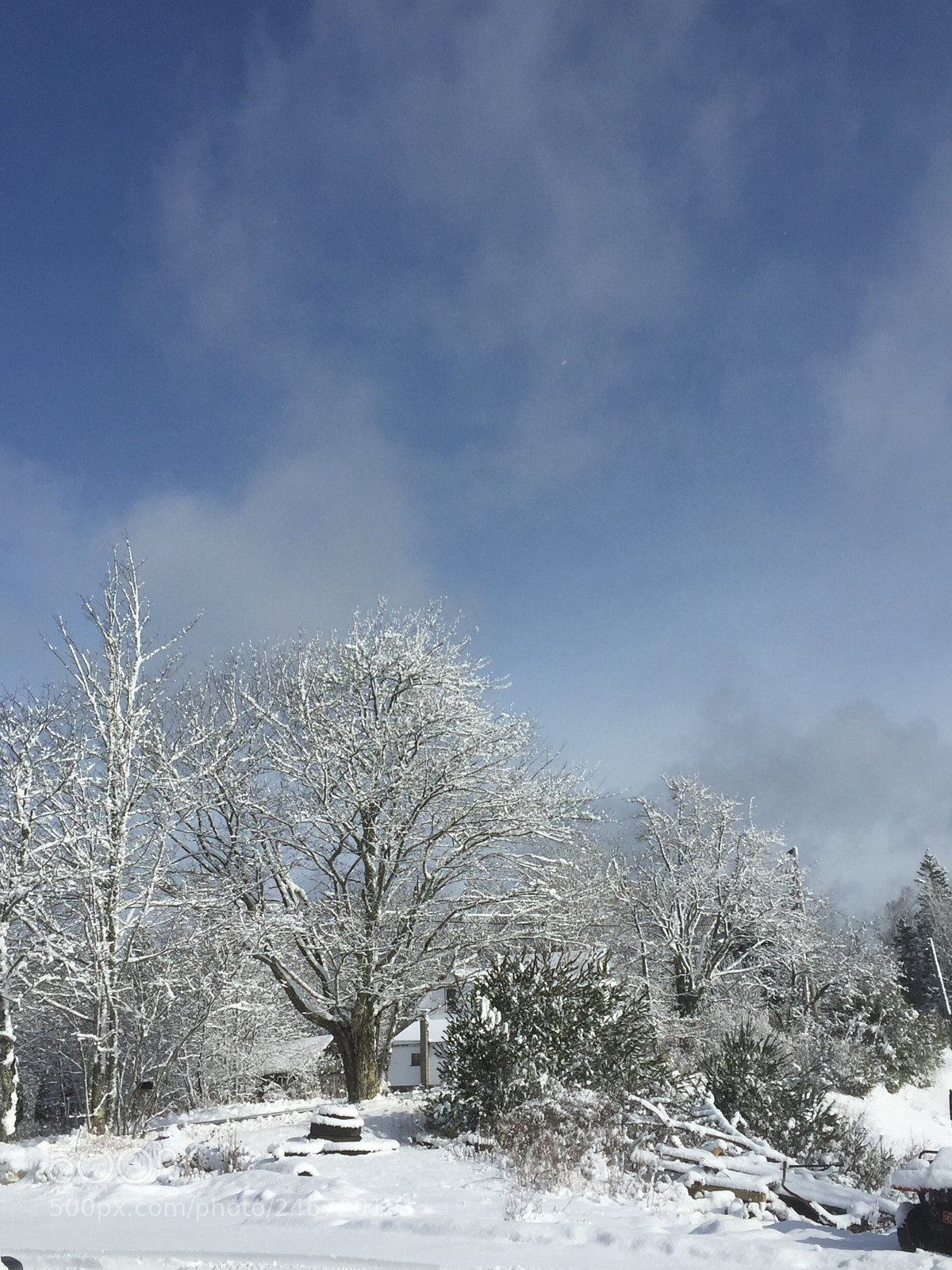 Apple iPhone 6 sample photo. Beautiful blue sky photography