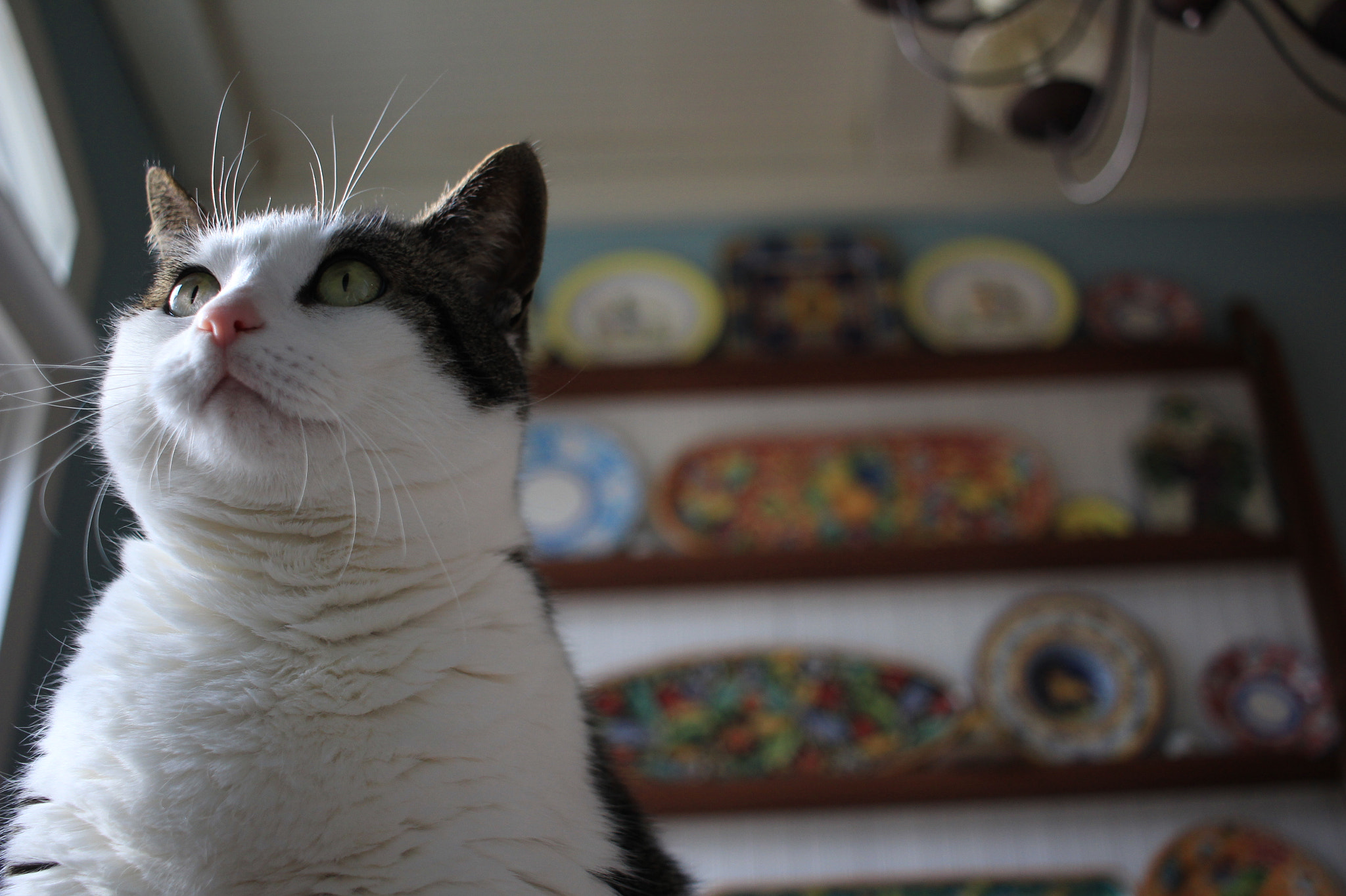 Canon EF-S 24mm F2.8 STM sample photo. Img photography