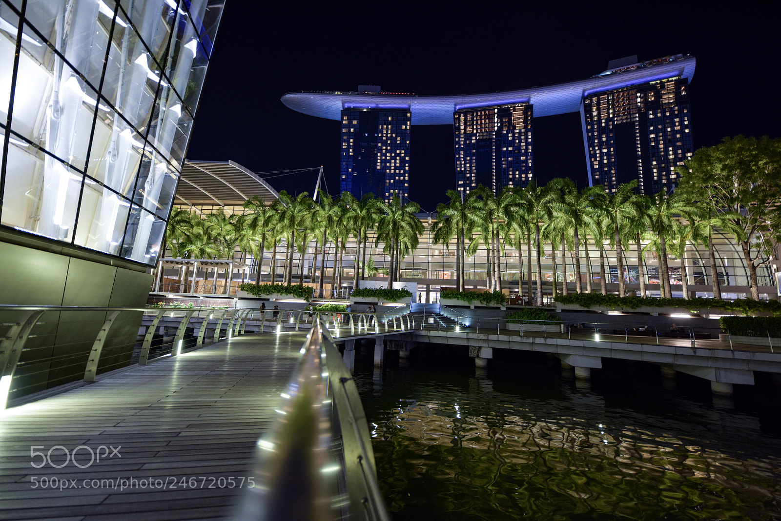 Nikon D810 sample photo. Untitled photography