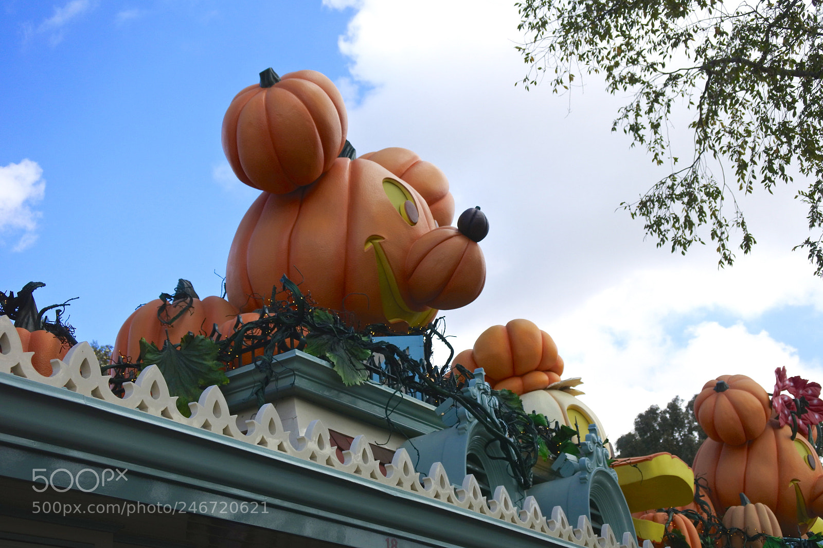 Nikon 1 J5 sample photo. Halloween mickey photography