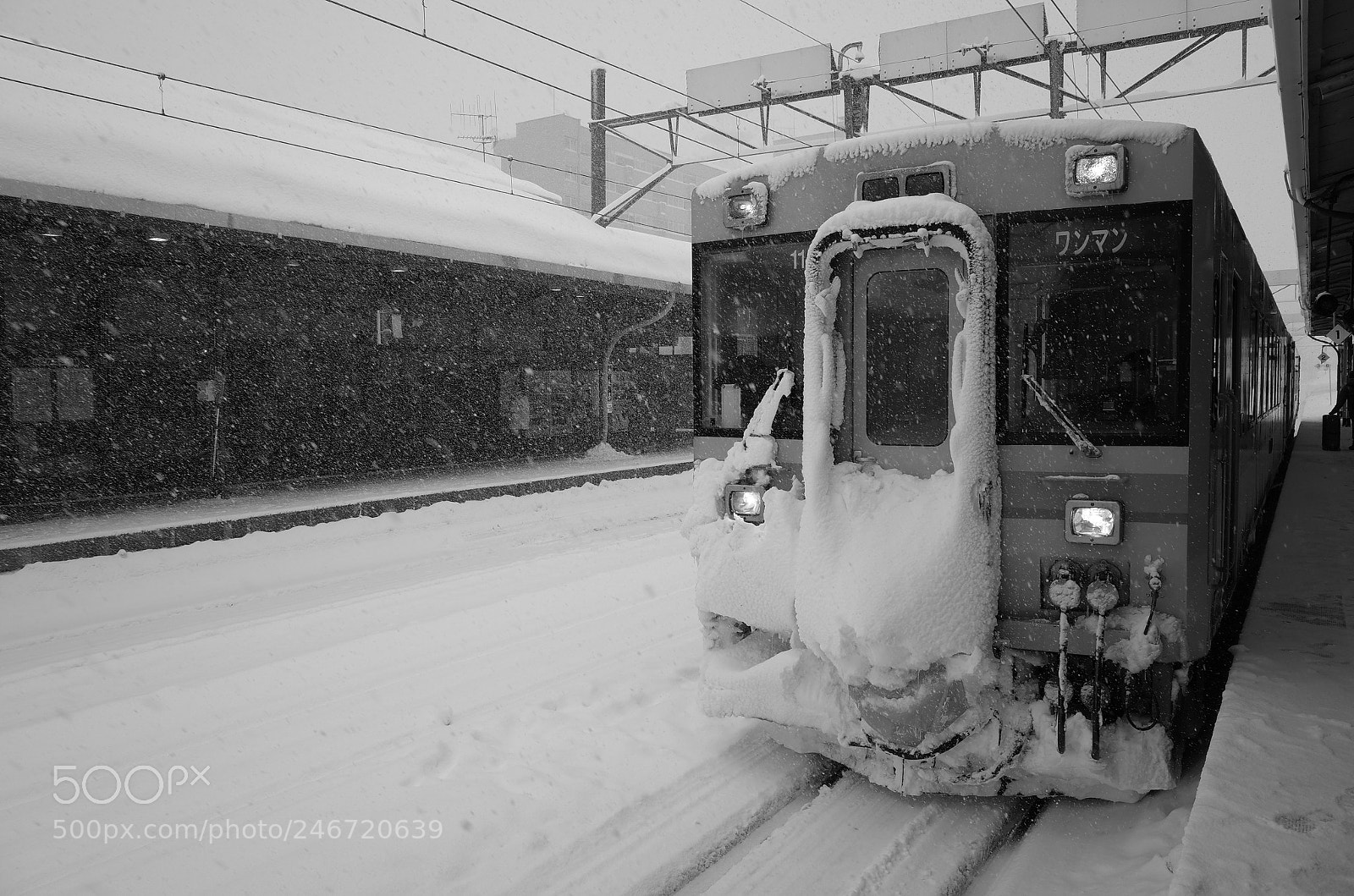 Ricoh GR II sample photo. Winter wonderland photography