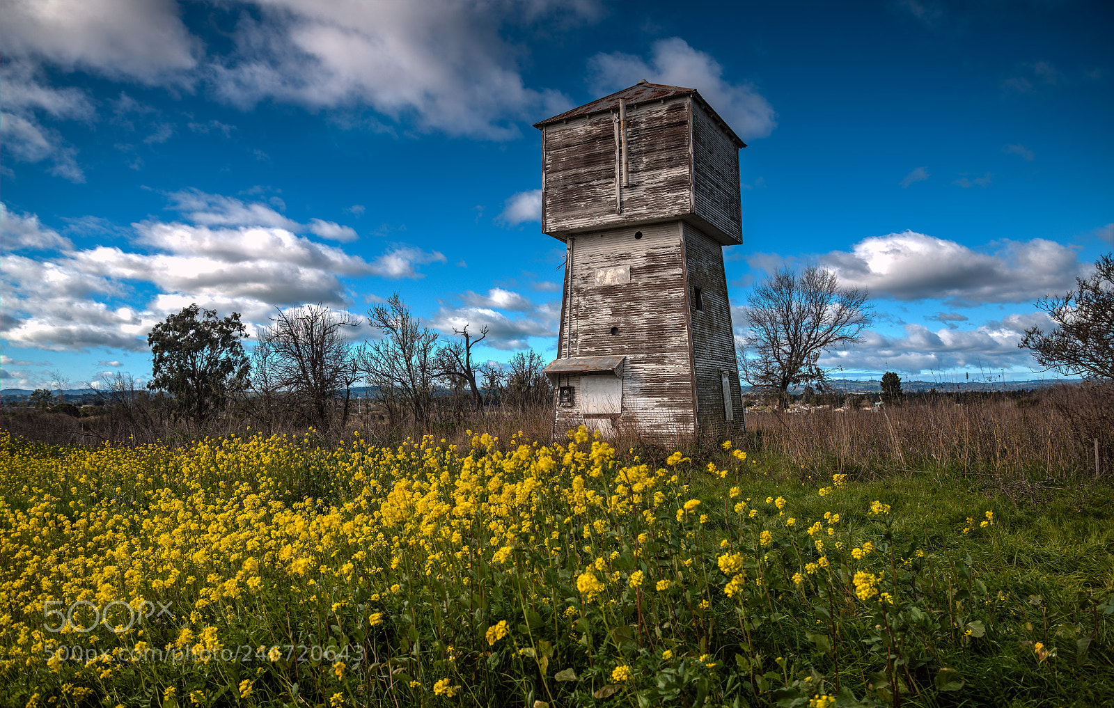 Nikon D850 sample photo. Water tower surrounded by photography