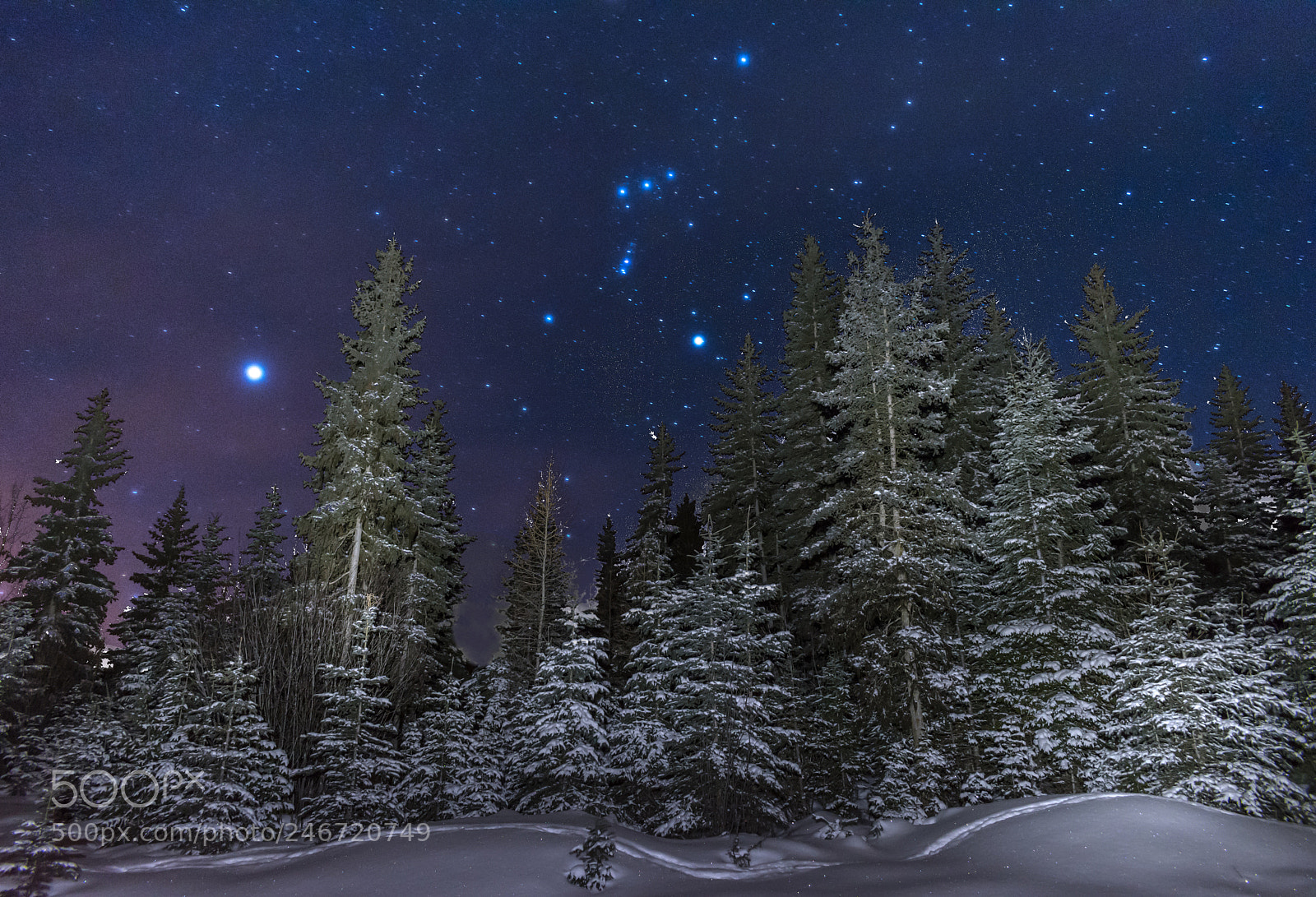Nikon D5600 sample photo. The galaxy is on photography