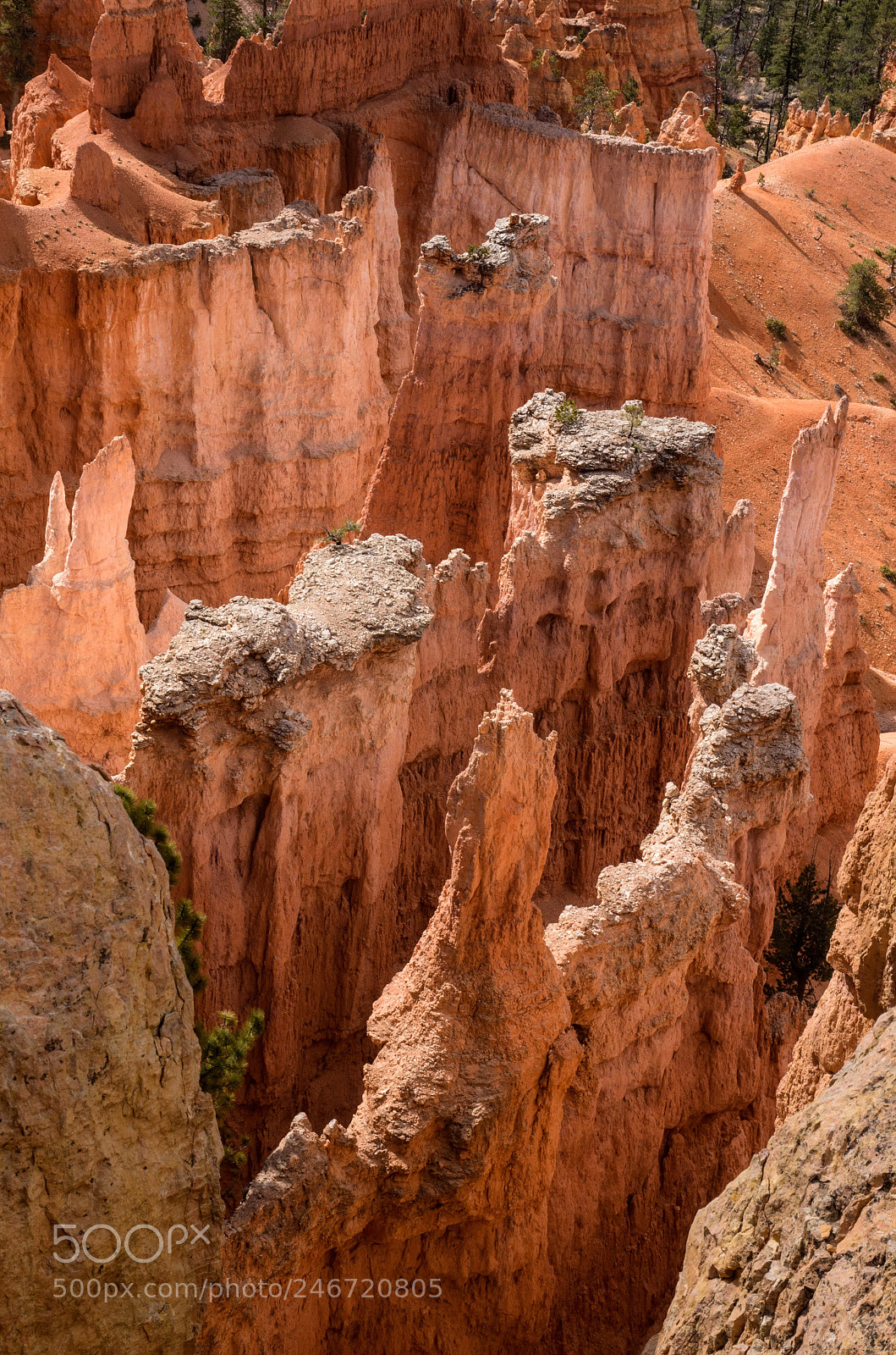 Pentax K-50 sample photo. Bryce canyon photography