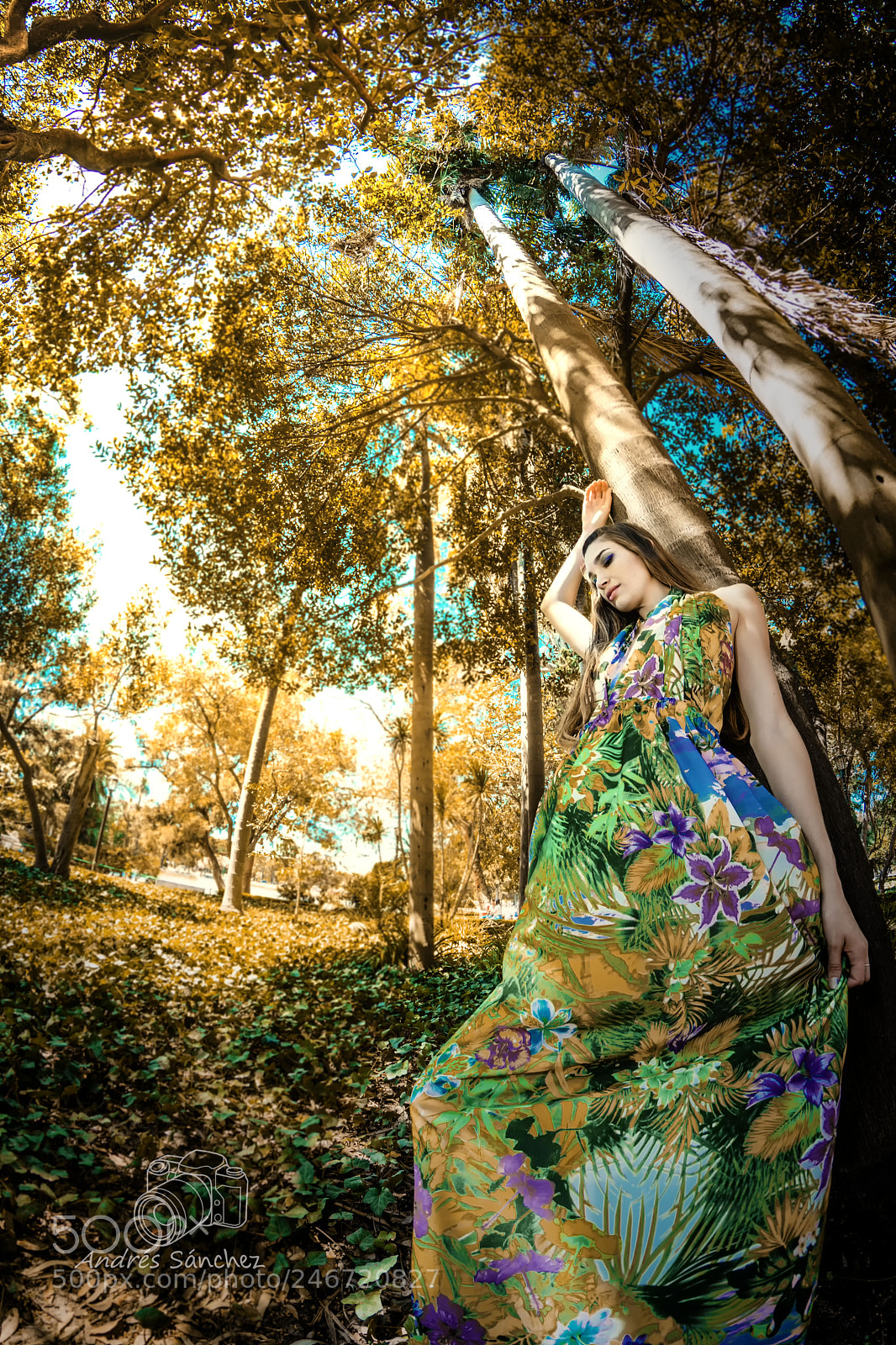 Nikon D7100 sample photo. Tinker bell / hadas photography