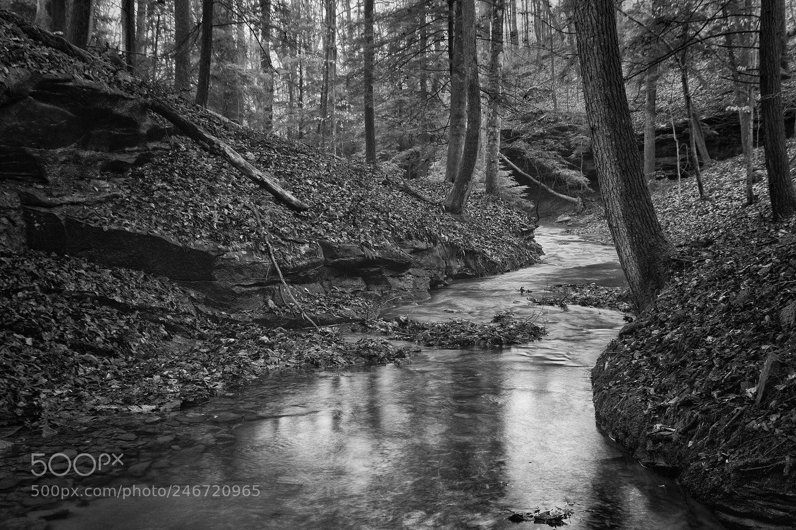 Canon EOS 50D sample photo. First creek photography