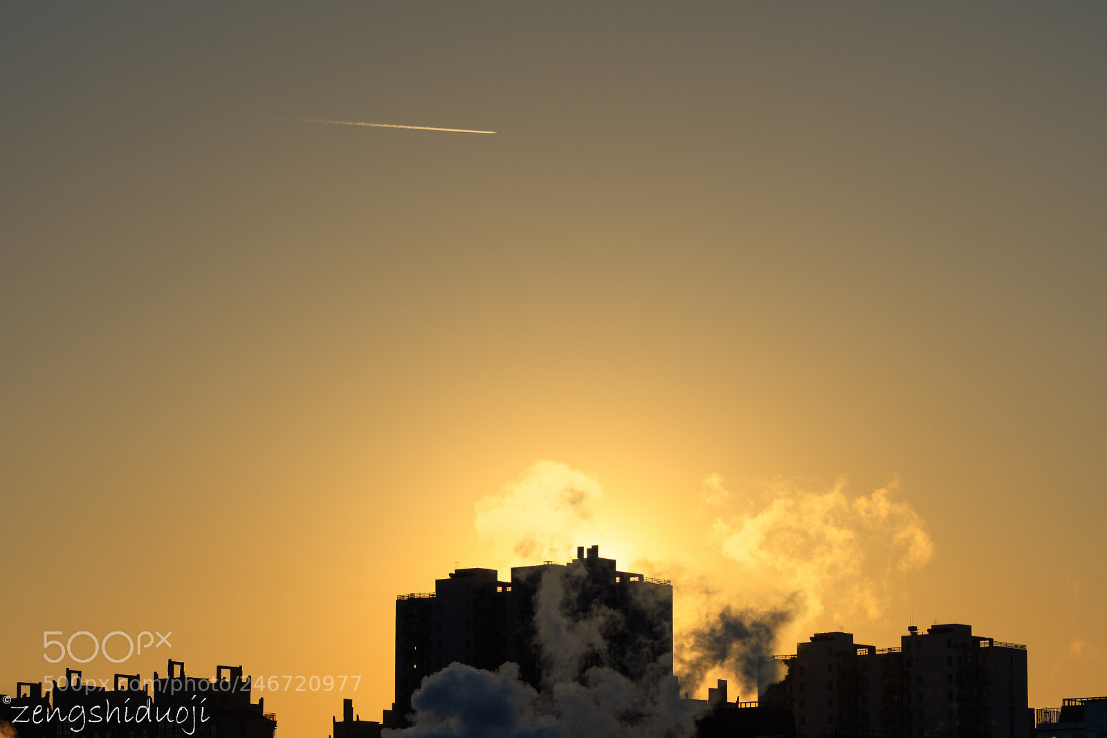 Nikon D500 sample photo. 早！ photography