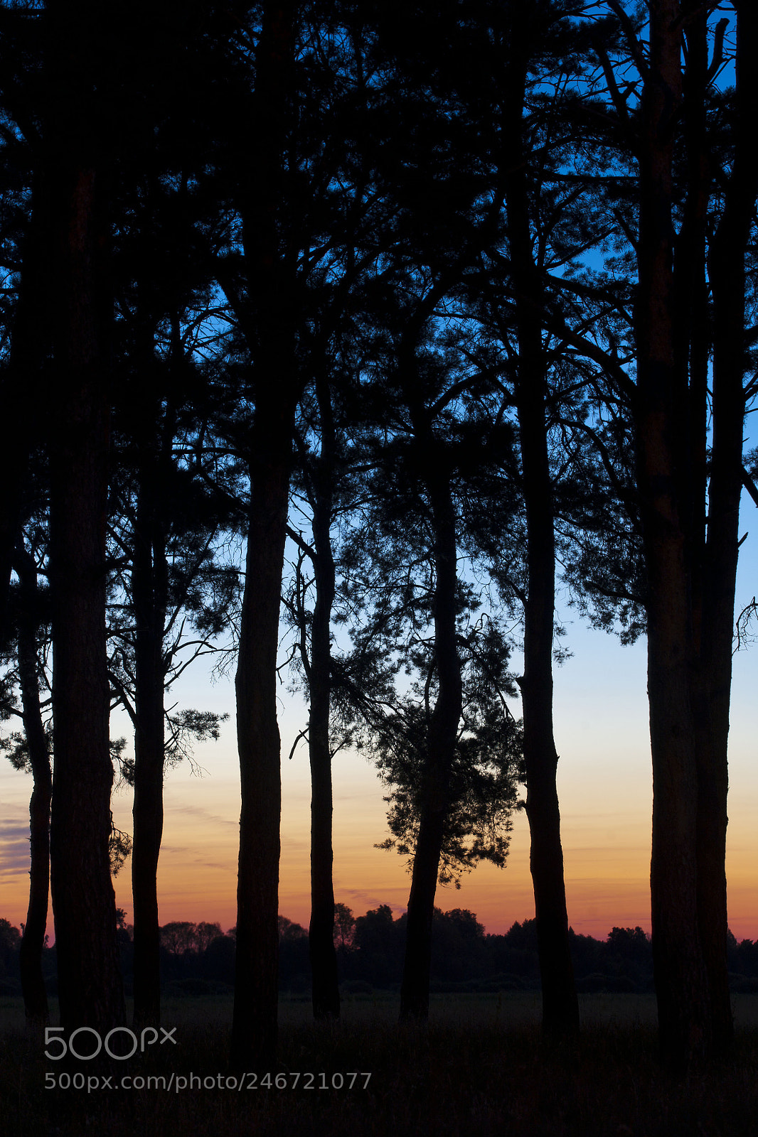 Canon EOS 5D sample photo. Img photography