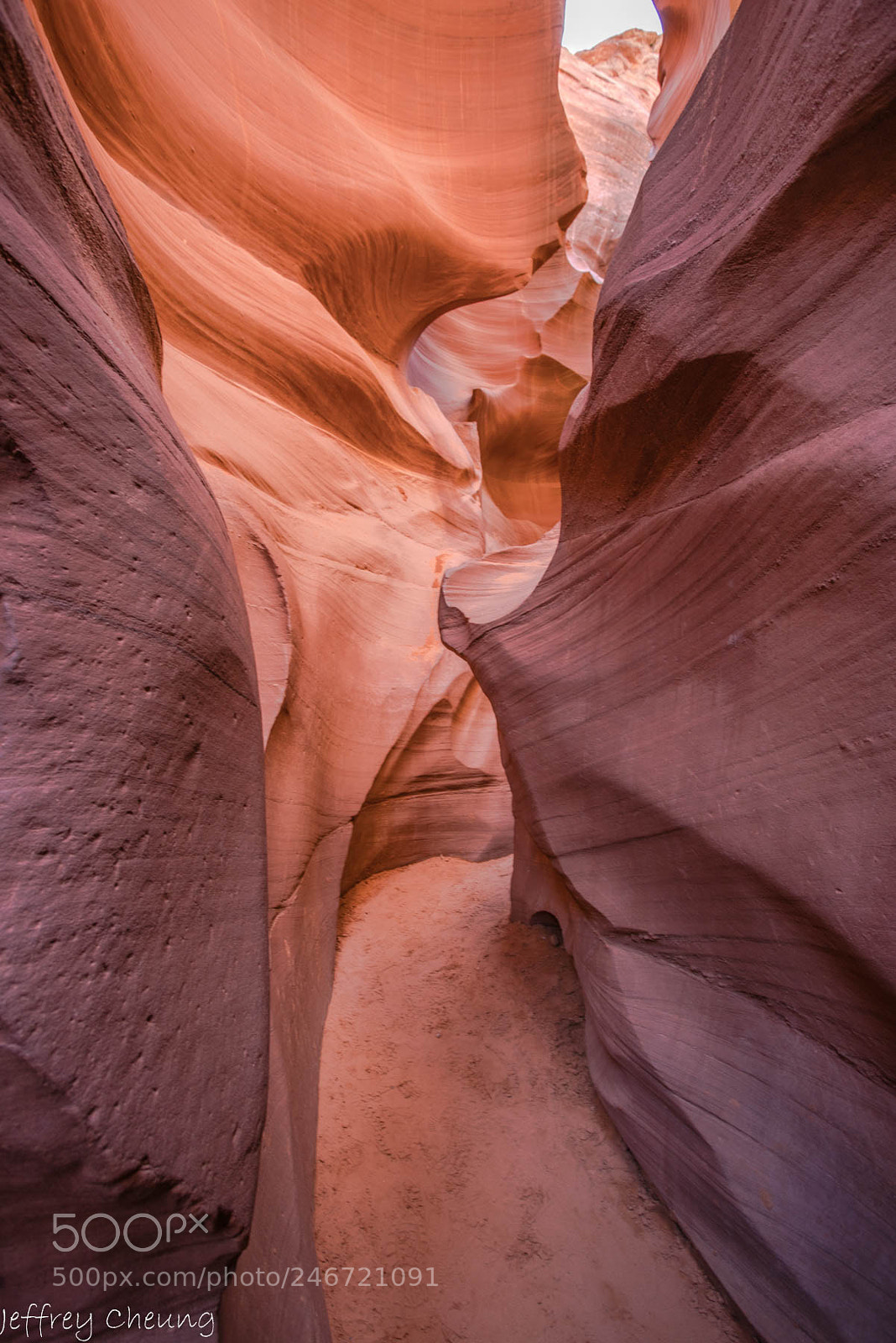 Sony a7R II sample photo. The canyon path photography