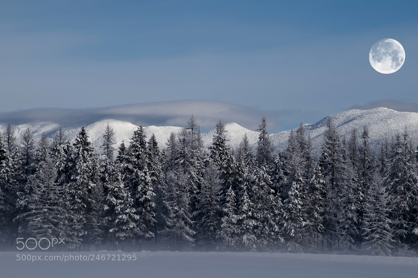 Nikon D5600 sample photo. Frigid bluebird day photography