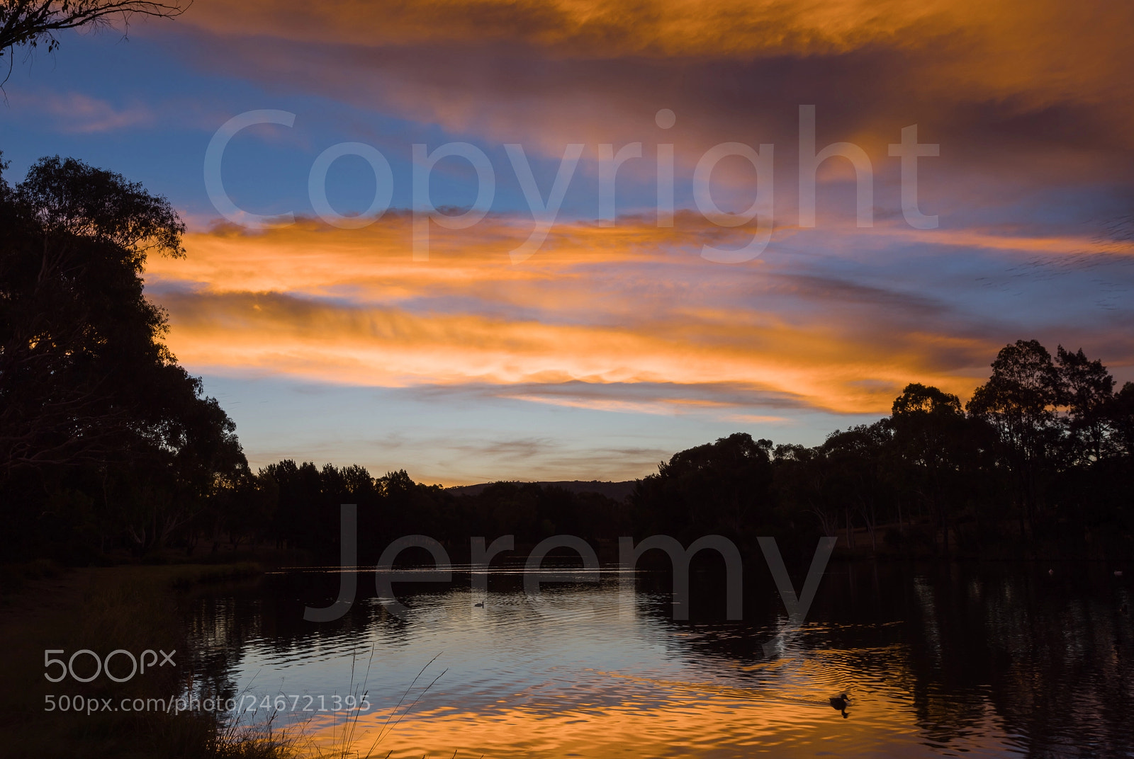 Nikon D810 sample photo. Stranger dusk photography