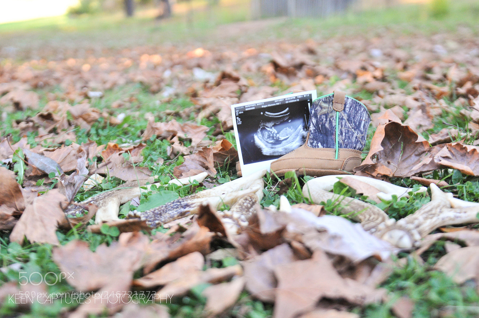 Nikon D300S sample photo. Kash photography