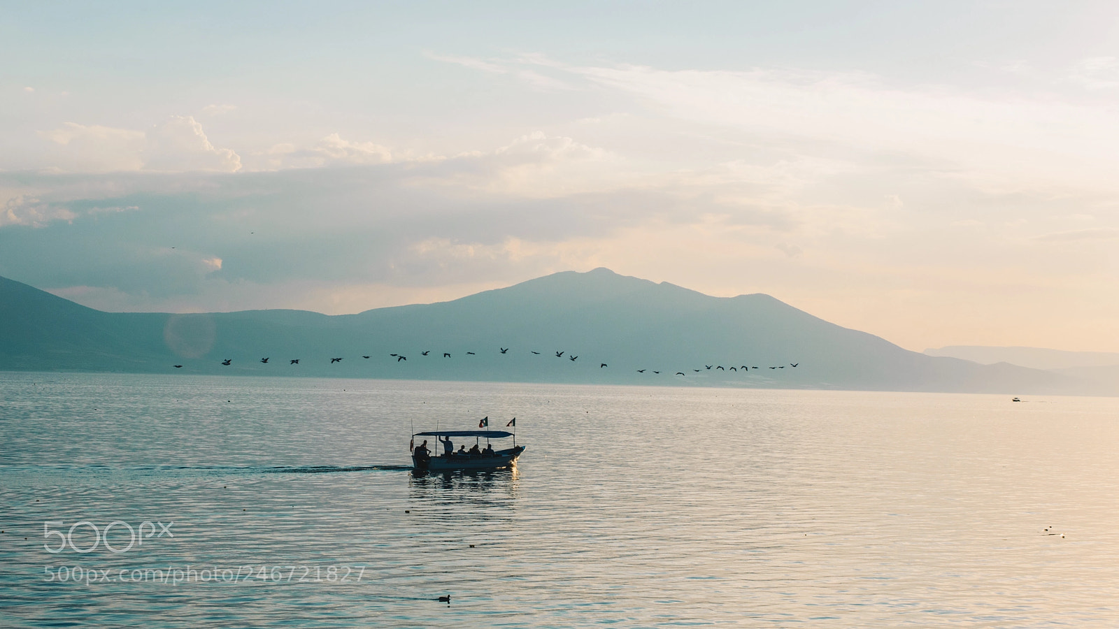 Nikon D3200 sample photo. Birds wave photography