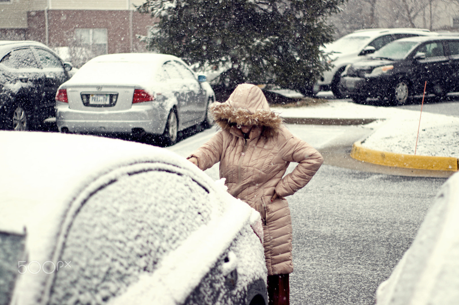 Canon 50mm sample photo. Its snow time photography