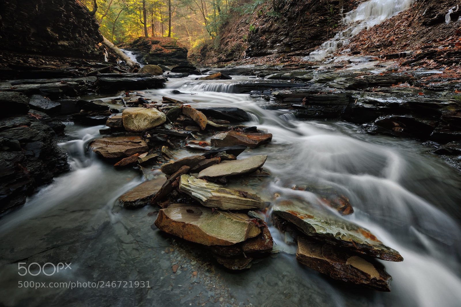 Nikon D3X sample photo. Winter thaw 3 photography