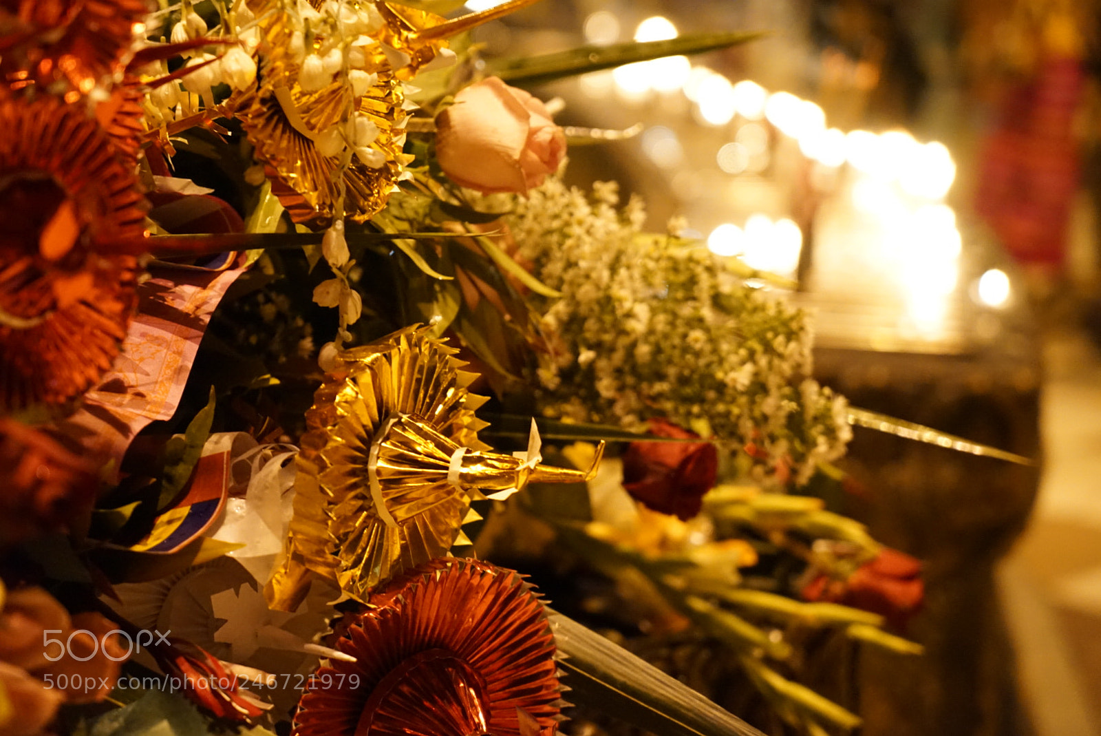 Sony a7 II sample photo. Untitled photography