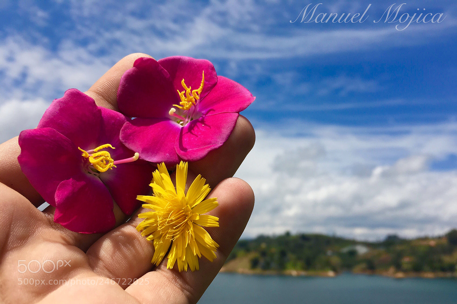 Apple iPhone 6s sample photo. It’s beautiful photography