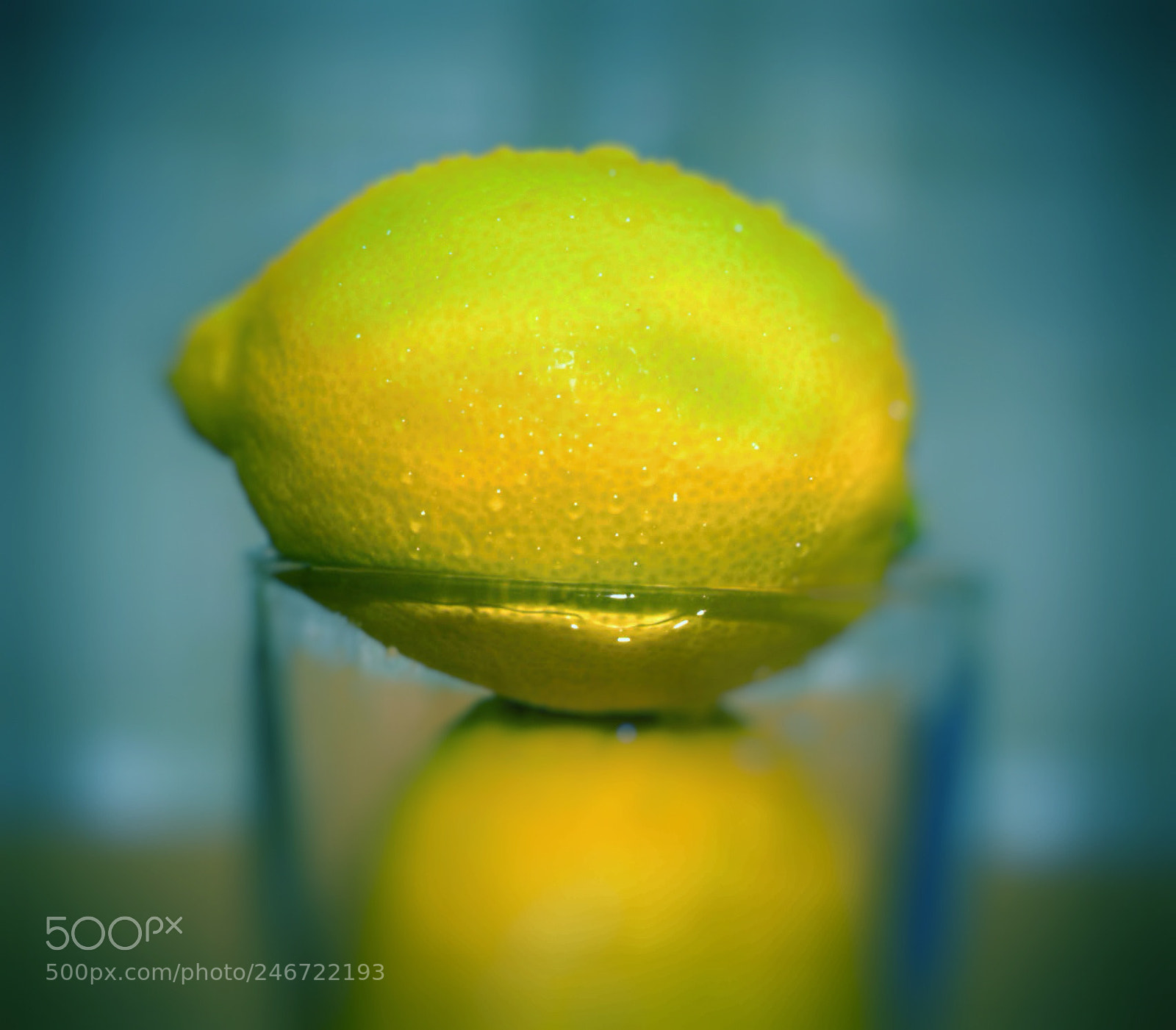 Sony Alpha DSLR-A230 sample photo. Lemon photography