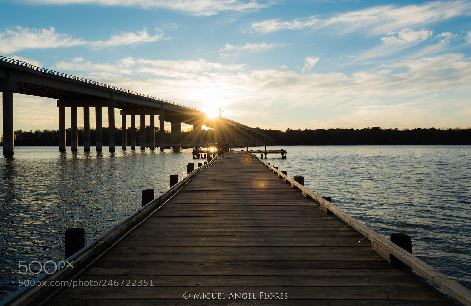 Nikon D5200 sample photo. Follow the light photography
