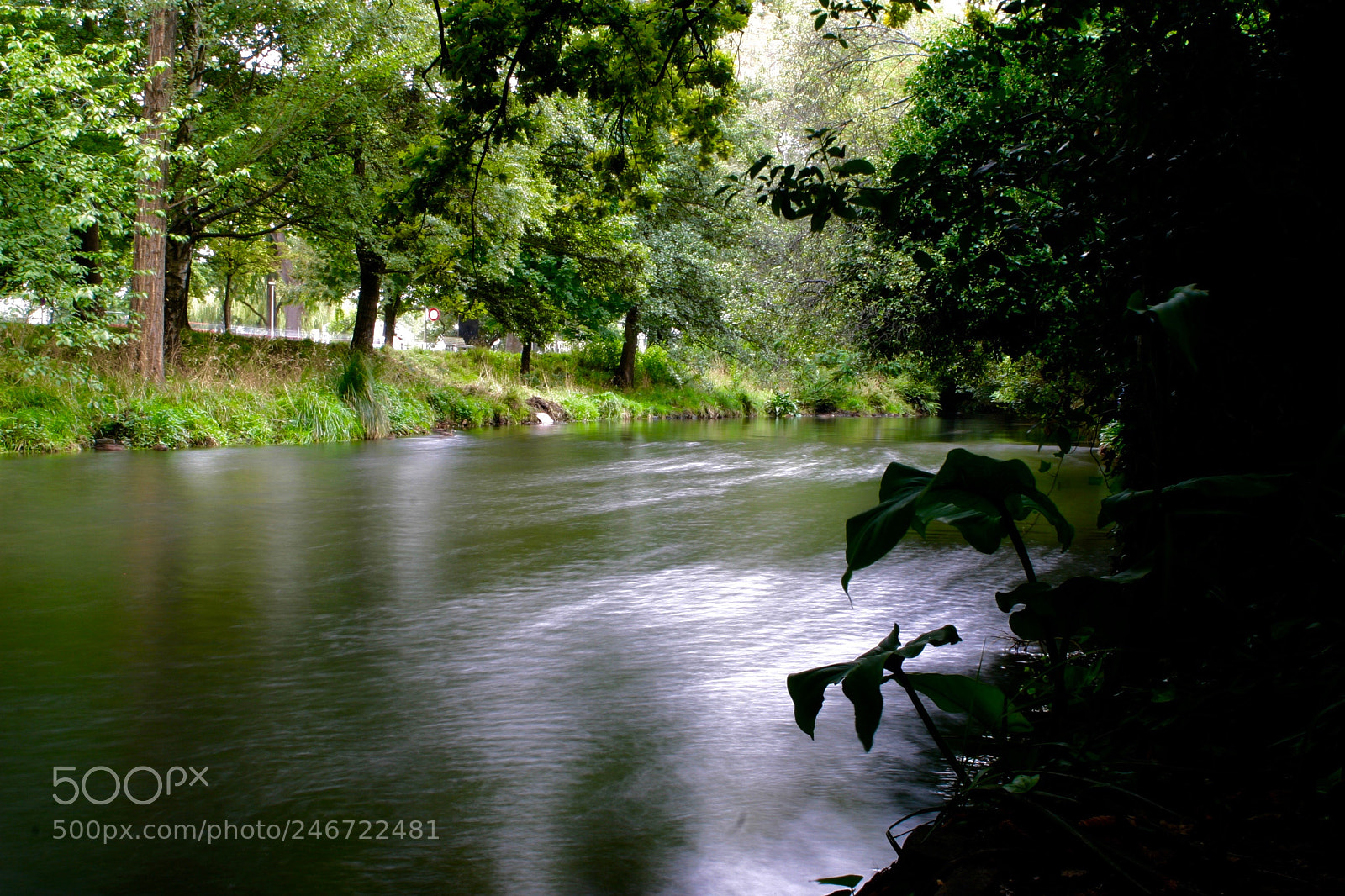 Canon EOS 10D sample photo. Avon photography