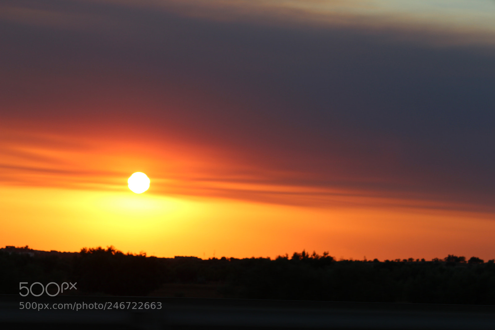 Canon EF-S 55-250mm F4-5.6 IS II sample photo. Img photography