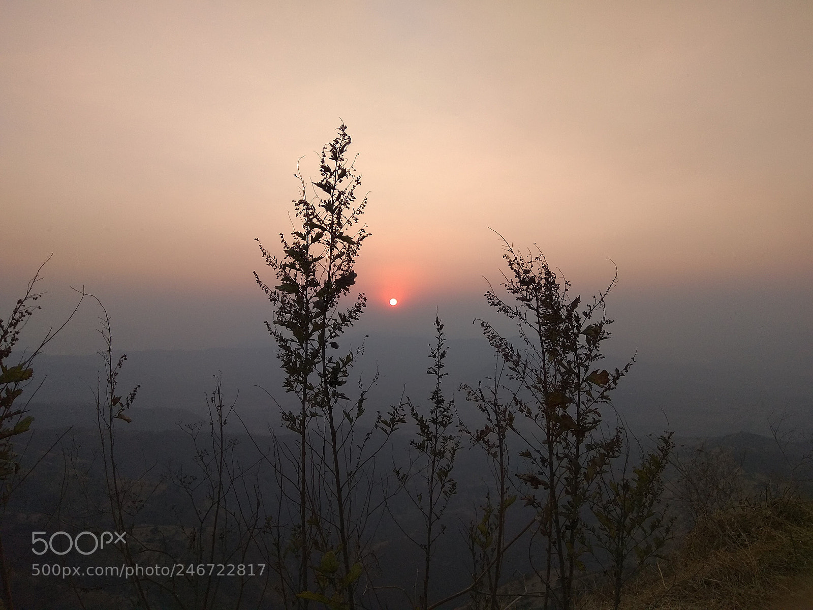 Xiaomi Redmi Note 4 sample photo. Untitled photography
