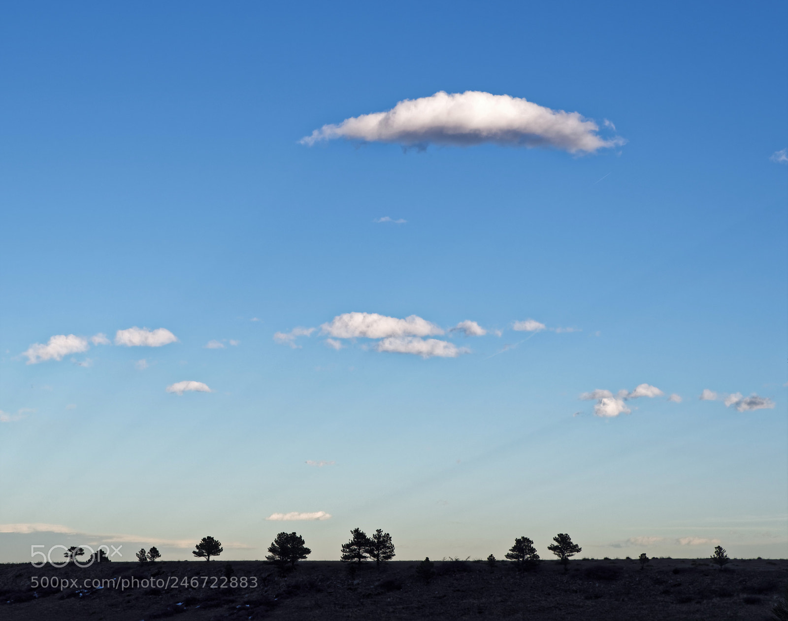 Nikon D500 sample photo. Deepening into dusk photography