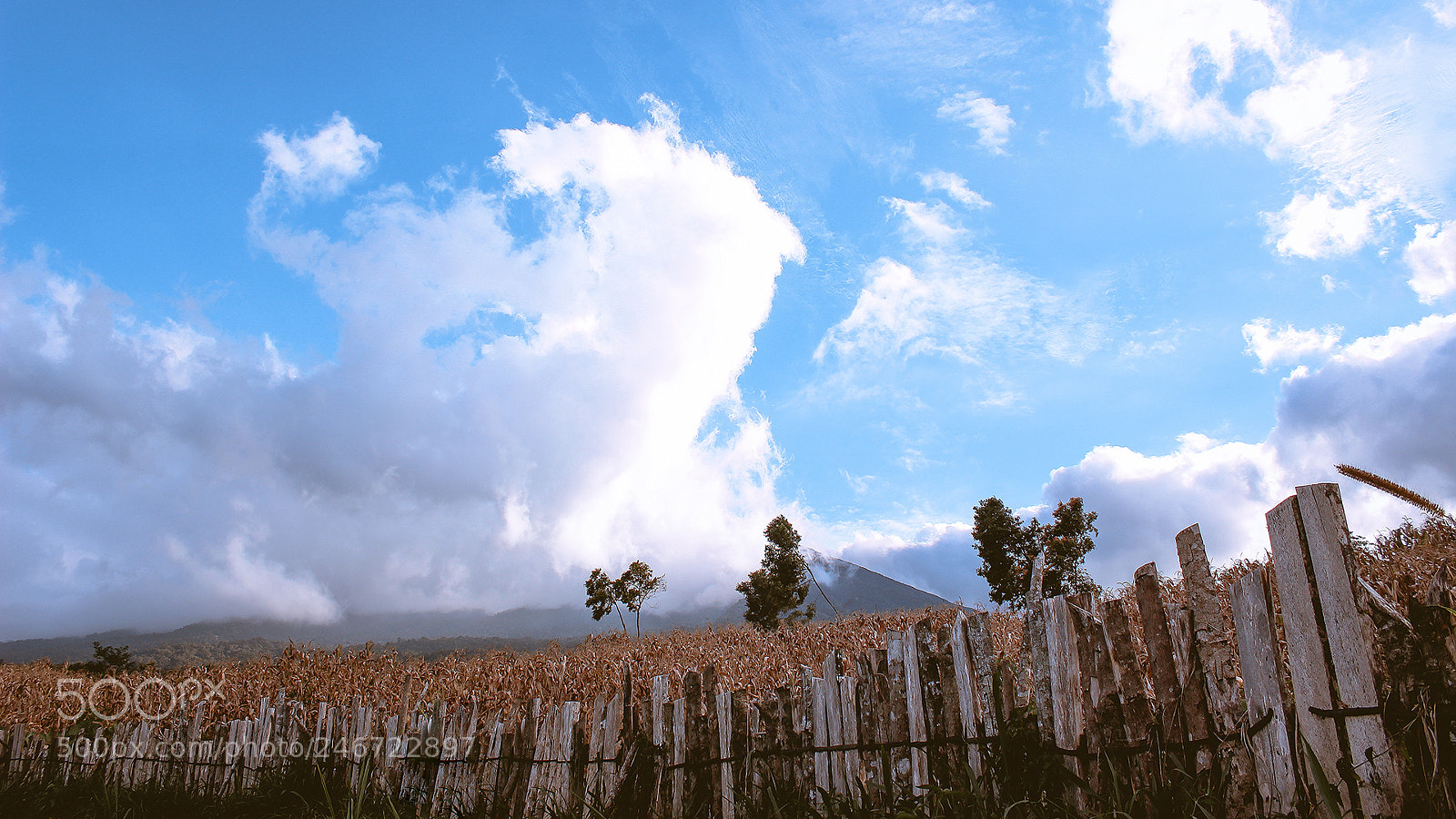 Canon EOS 100D (EOS Rebel SL1 / EOS Kiss X7) sample photo. [] photography