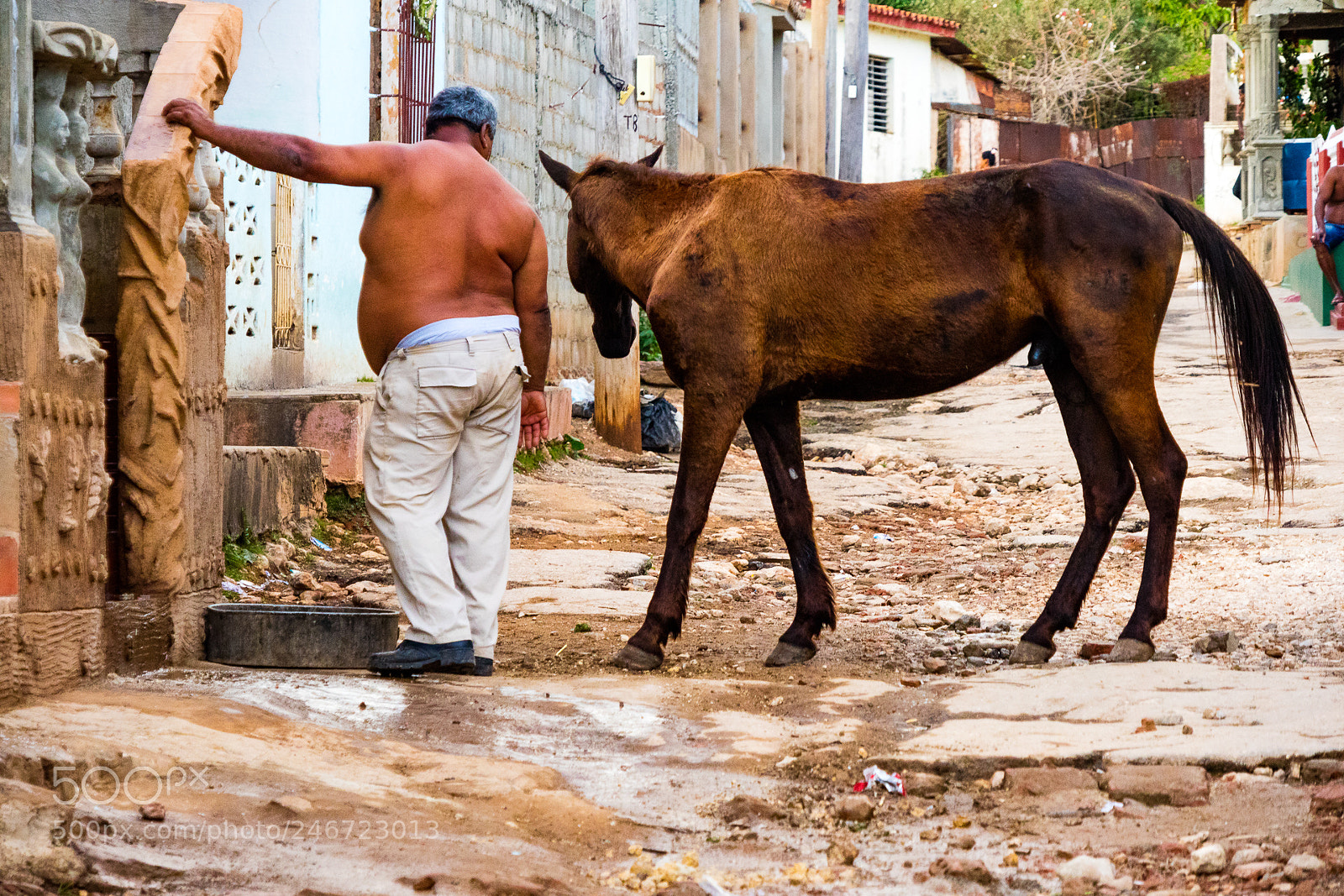 Canon EOS M3 sample photo. Man and a horse photography