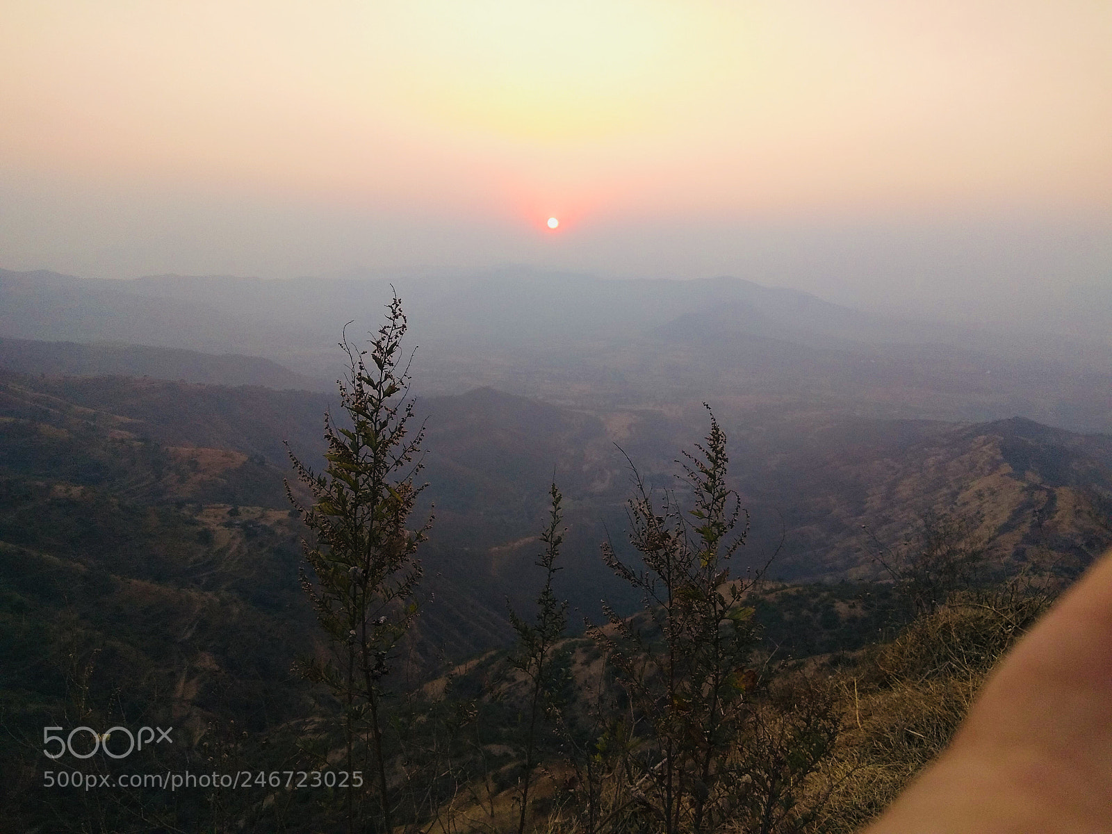 Xiaomi Redmi Note 4 sample photo. Untitled photography